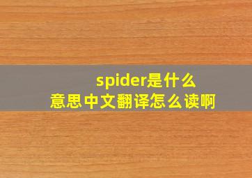 spider是什么意思中文翻译怎么读啊