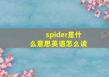 spider是什么意思英语怎么读