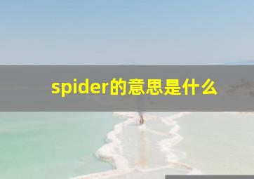 spider的意思是什么