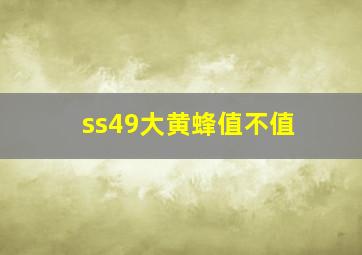 ss49大黄蜂值不值