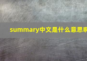 summary中文是什么意思啊