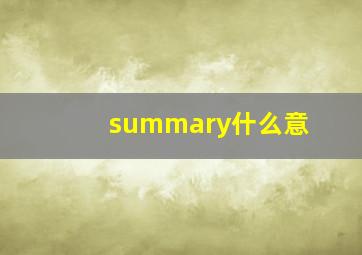 summary什么意