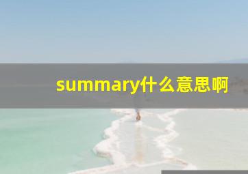 summary什么意思啊