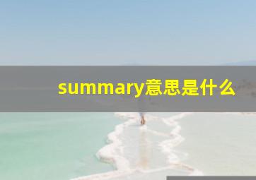 summary意思是什么