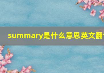 summary是什么意思英文翻译