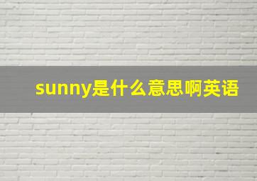 sunny是什么意思啊英语