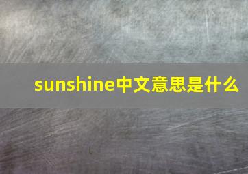 sunshine中文意思是什么