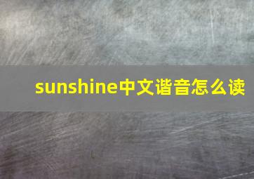 sunshine中文谐音怎么读