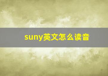 suny英文怎么读音