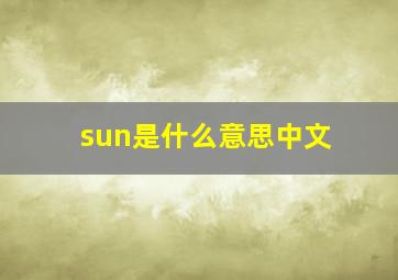 sun是什么意思中文