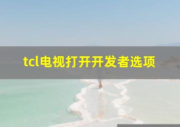 tcl电视打开开发者选项