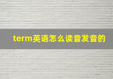 term英语怎么读音发音的