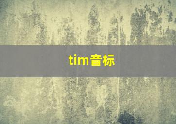 tim音标