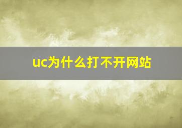 uc为什么打不开网站