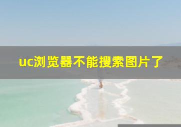 uc浏览器不能搜索图片了