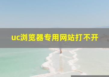 uc浏览器专用网站打不开