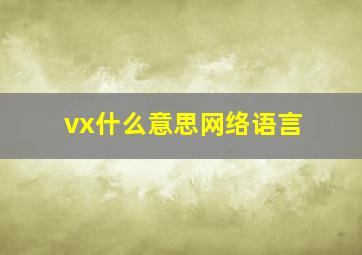 vx什么意思网络语言