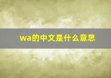 wa的中文是什么意思