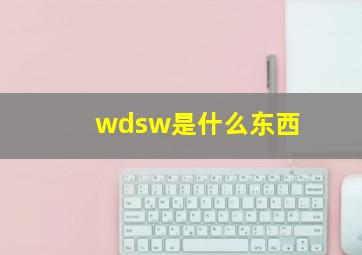 wdsw是什么东西