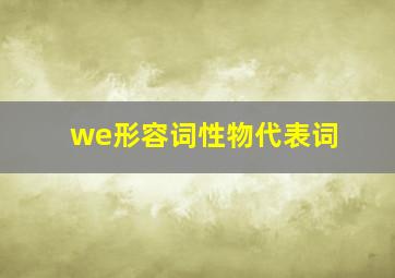 we形容词性物代表词