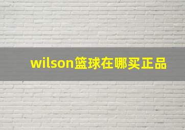 wilson篮球在哪买正品