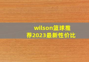 wilson篮球推荐2023最新性价比