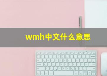 wmh中文什么意思