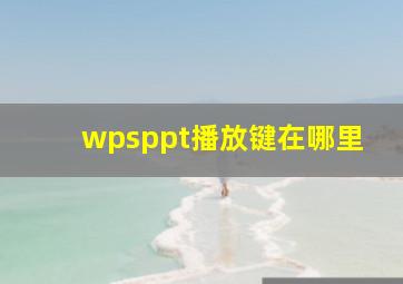 wpsppt播放键在哪里