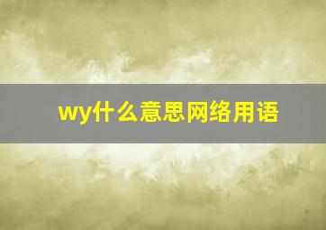 wy什么意思网络用语