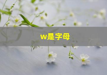 w是字母