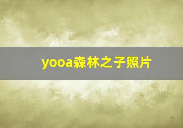 yooa森林之子照片