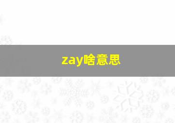 zay啥意思