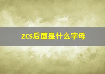 zcs后面是什么字母