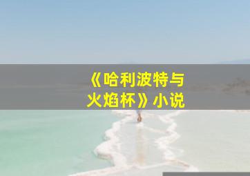 《哈利波特与火焰杯》小说