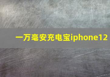 一万毫安充电宝iphone12