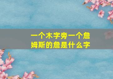 一个木字旁一个詹姆斯的詹是什么字