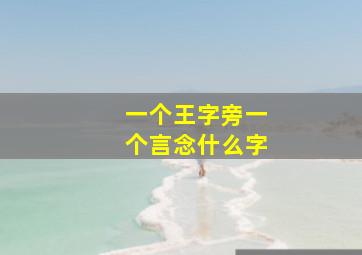 一个王字旁一个言念什么字