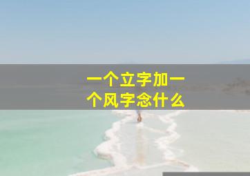 一个立字加一个风字念什么