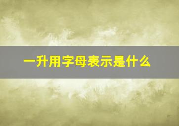 一升用字母表示是什么