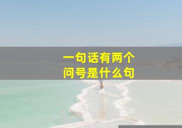 一句话有两个问号是什么句