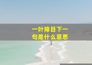 一叶障目下一句是什么意思