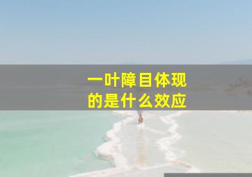 一叶障目体现的是什么效应