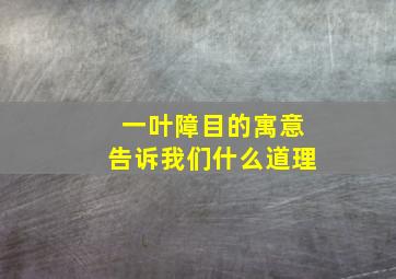 一叶障目的寓意告诉我们什么道理