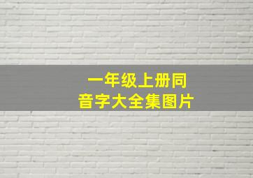 一年级上册同音字大全集图片