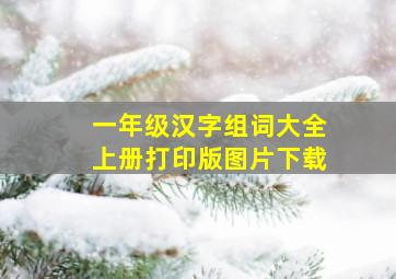 一年级汉字组词大全上册打印版图片下载