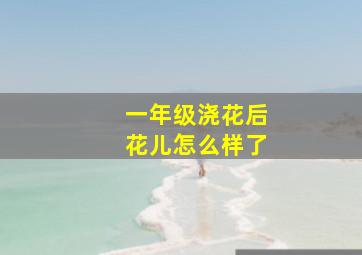 一年级浇花后花儿怎么样了