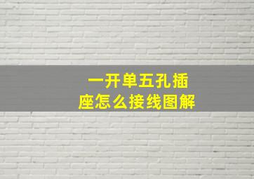 一开单五孔插座怎么接线图解