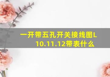 一开带五孔开关接线图L10.11.12带表什么