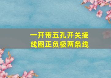 一开带五孔开关接线图正负极两条线