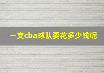 一支cba球队要花多少钱呢